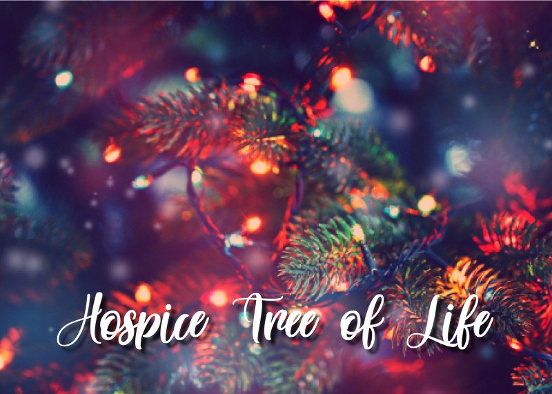 Hospice Tree of Life Ceremony